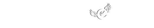 My Flying Eyes